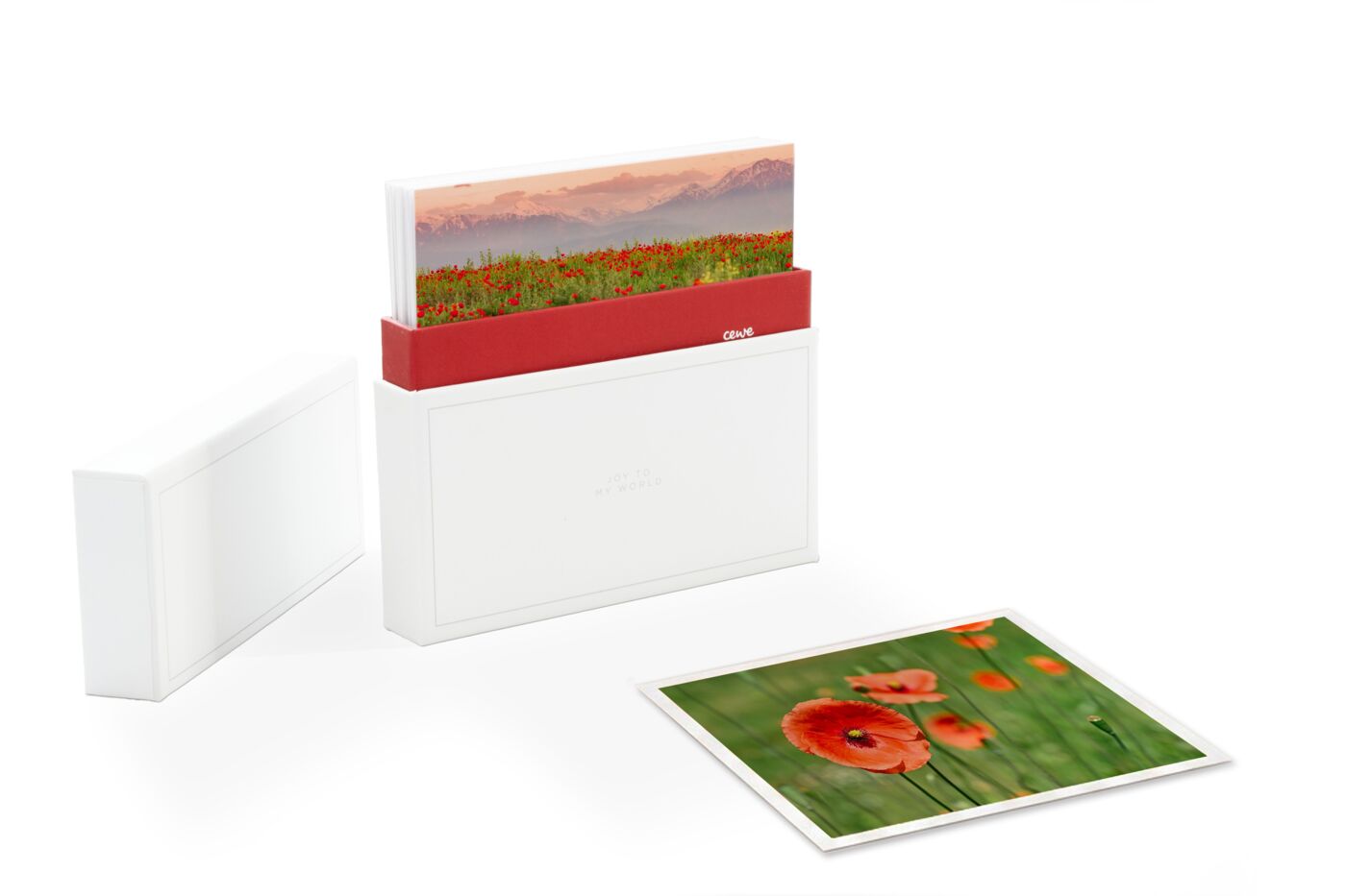 Fotos creativas cuadradas, un diseño y una caja especial para tus mejores fotos.